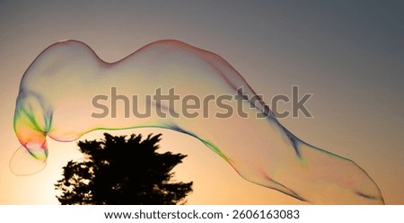 Big soap bubbles in sunset. Big bubble flying over blue sky. Huge colorful soap bubbles fly over cloudy sky background.