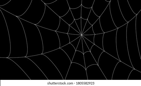 spider wallpaper images stock photos vectors shutterstock