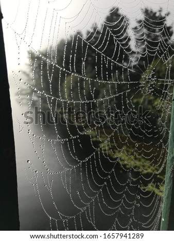 A big spiderweb covered in dew. It was captured between railings on a bridge over looking the river ljungan in northern Sweden.