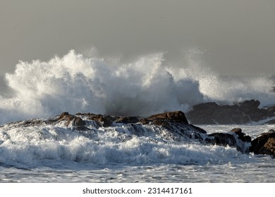 Big splash of a stormy sea wave breaking against rocks from portuguese northern coast. Soft backlight. - Powered by Shutterstock