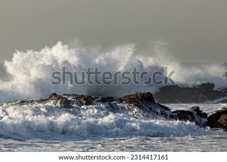 Big splash of a stormy sea wave breaking against rocks from portuguese northern coast. Soft backlight.