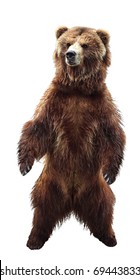 Big Standing Brown Bear, Isolated