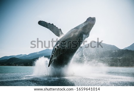 Big statue of a whale jumping out of the water in Juneau Alaska