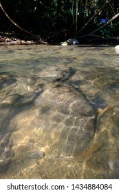 Big Stone Ground Under Clear Water