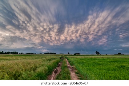 Big storm cloud over the fields - mammatus clouds