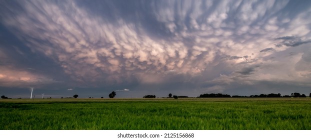 Big storm cloud over the fields - mammatus clouds