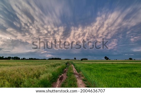 Big storm cloud over the fields - mammatus clouds