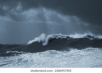 Big stormy wave. Portuguese coast during an autumn storm. Toned blue. - Powered by Shutterstock