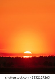 Big Sun Over Horizon Woods Or Forest. Dark Silhouette Of Trees On Orange Yellow Sunrise Background. Bold Bright Orange Sunset Sky. Natural Colors Of Evening Sky At Sunset. Nature Forest Landscape.
