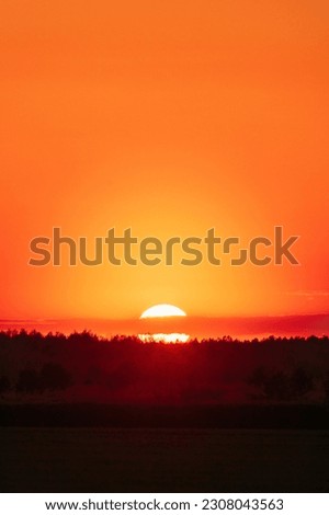 Big Sun Over Horizon Woods Or Forest. Dark Silhouette Of Trees On Orange Yellow Sunrise Background. Bold Bright Orange Sunset Sky. Natural Colors Of Evening Sky At Sunset. Nature Forest Landscape.