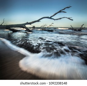 Big Talbot Island Florida