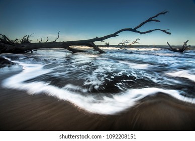 Big Talbot Island Florida