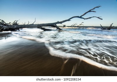 Big Talbot Island Florida