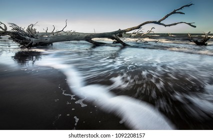 Big Talbot Island Florida