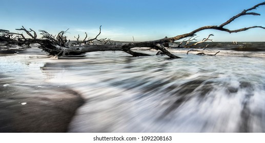 Big Talbot Island Florida