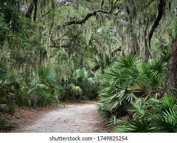 Big Talbot Island Located In Florida