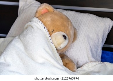 Big Teddy Bear Lying In Bed On Pillow Under Cozy Blanket