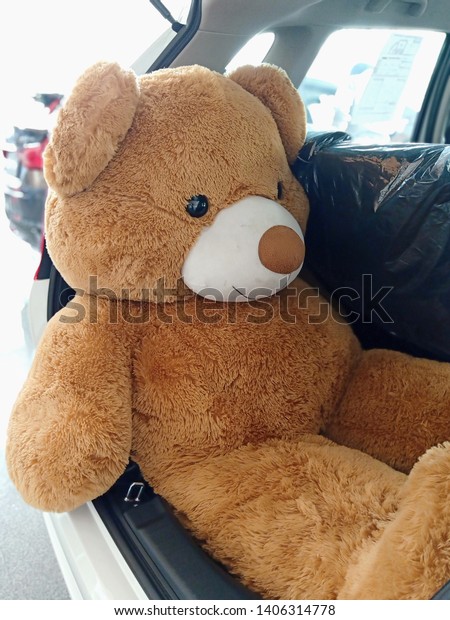 Big teddy bear in small\
car