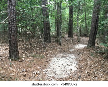 Big Thicket National Preserve