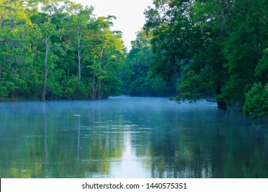 Big Thicket Reserve In Texas USA