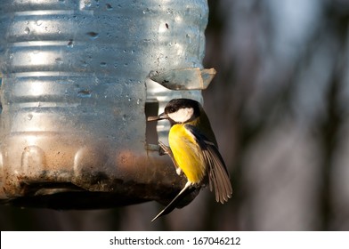 Plastic Bird Feeder Images Stock Photos Vectors Shutterstock