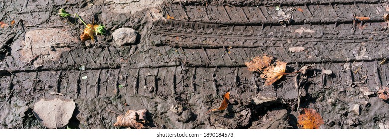 Big Trace From Vehicle Wheel Tire On Dirty Black Earth With Last Year Foliage Overhead View