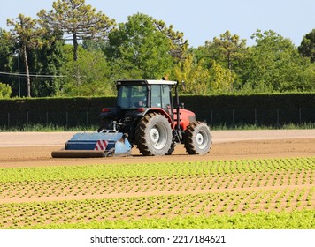 Big Tractor During The Breaking Up Of The Field For Sowing The Green Lettuce