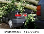 Big tree fall down on car during hurricane. Insurance problem, bad luck, car parking concept