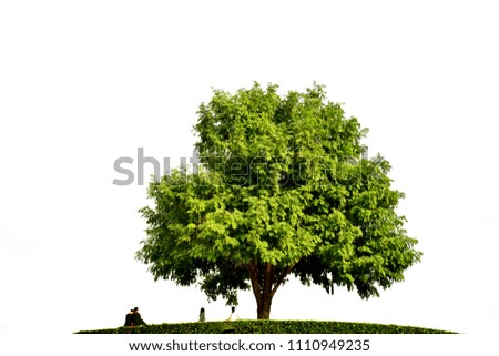 Similar – Image, Stock Photo cherry harvest Branch Tree