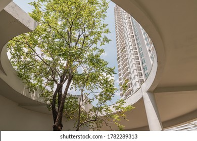 A big tree in the middle of building in summer time. Building design for green living concept. Environmental friendly building design. Ecology concept. Selective focus.