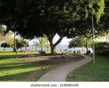 Big tree in the middle of a park in Hawaii, surrounded by green grass and a winding walkaway. Blue sea in the background. Long shadows over the floor. Oahu, Waikiki, Hawaii. - Shutterstock ID 2140085439