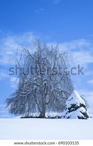 Similar – Foto Bild Erogene Zone Natur Himmel