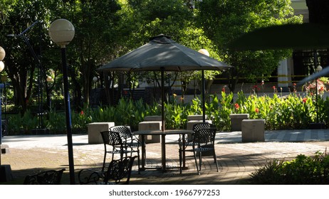 big tree in the shady garden and chairs - Shutterstock ID 1966797253