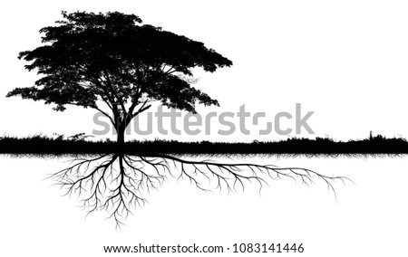 big tree silhouettes with root isolated on a white background