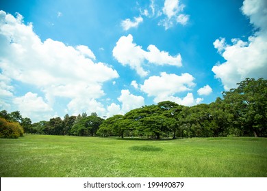 Big Trees, Green Grass Lawn And Blue Sky In A Park, Thailand