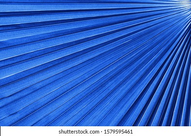 Big Tropical Jungle Leaves Classic Blue Pantone Color Of The Year 2020 
