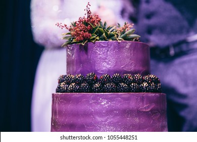 Violet Cake Images Stock Photos Vectors Shutterstock