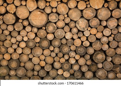 Big wall of stacked wood logs showing natural discoloration