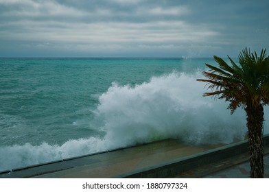 Big wave on the sea. Cloudy gray sky. Palm tree leaves. Wind blowing on the shore. Embankment horizontal photo