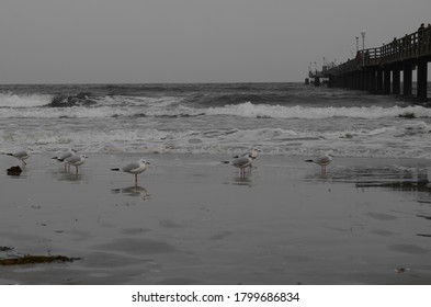 big waves and a gray cloudy sky 