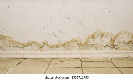Big wet spots and cracks and black mold on the wall near flour in domestic house room after heavy rain and lot of water - Image