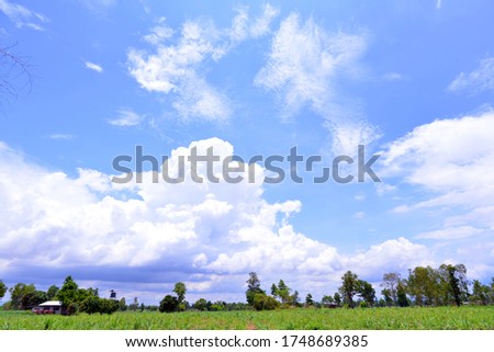 Big white cloud with the blue sky .The vast blue sky and cloudssky.Beautiful bluesky with clouds background.Sky with clouds weather nature cloud blue.