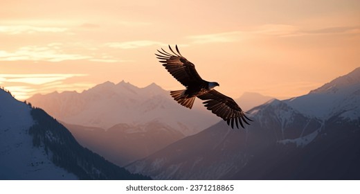 Big White Eagle Soars in the sky against sunset in the mountains
