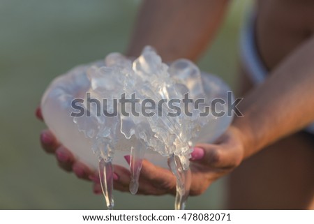 Big white jellyfish medusa in woman's hands.