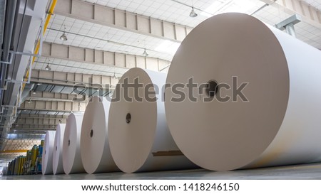 Big White Paper Rolls Placed on the Floor