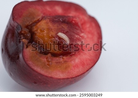 a big white worm in a cherry