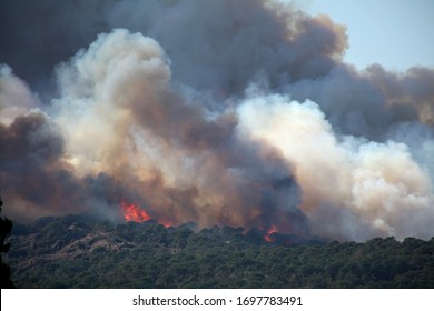 Big Wild Fire In The Mountain