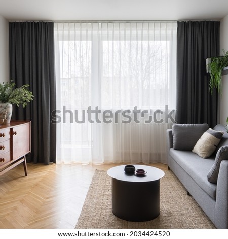 Similar – Image, Stock Photo Houseplants behind the curtain