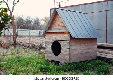 Big Wooden Doghouse On A House Backyard