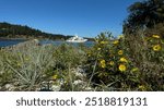 Big yacht anchored Gulf Islands British Columbia Canada